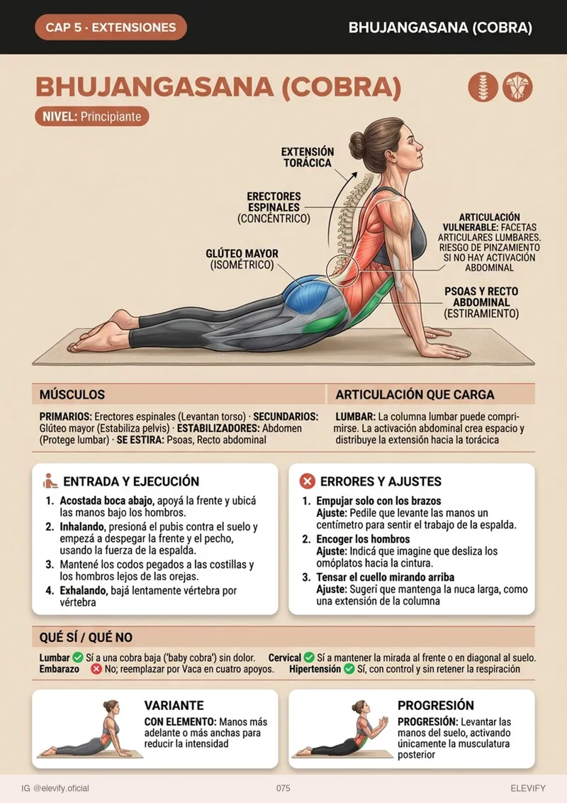 Bhujangasana