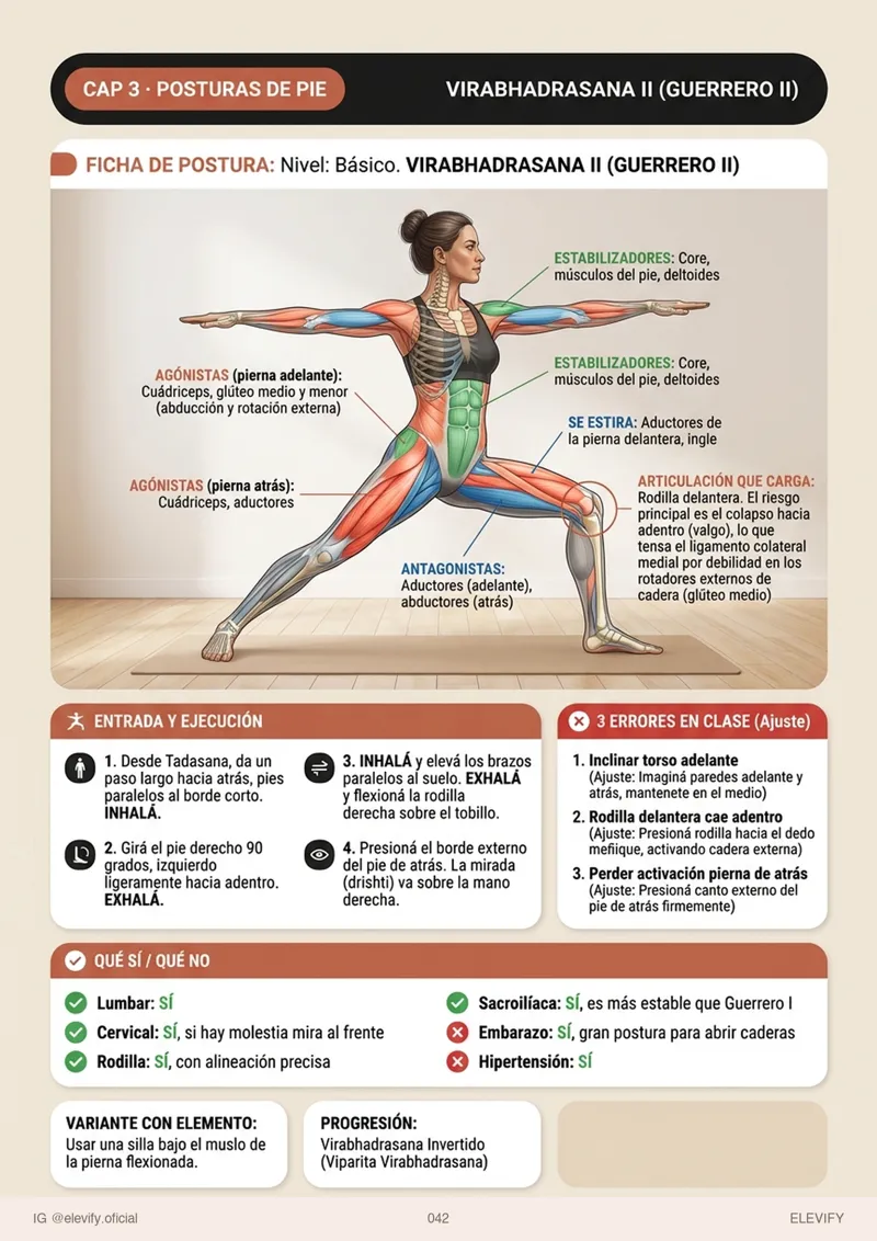 Virabhadrasana II