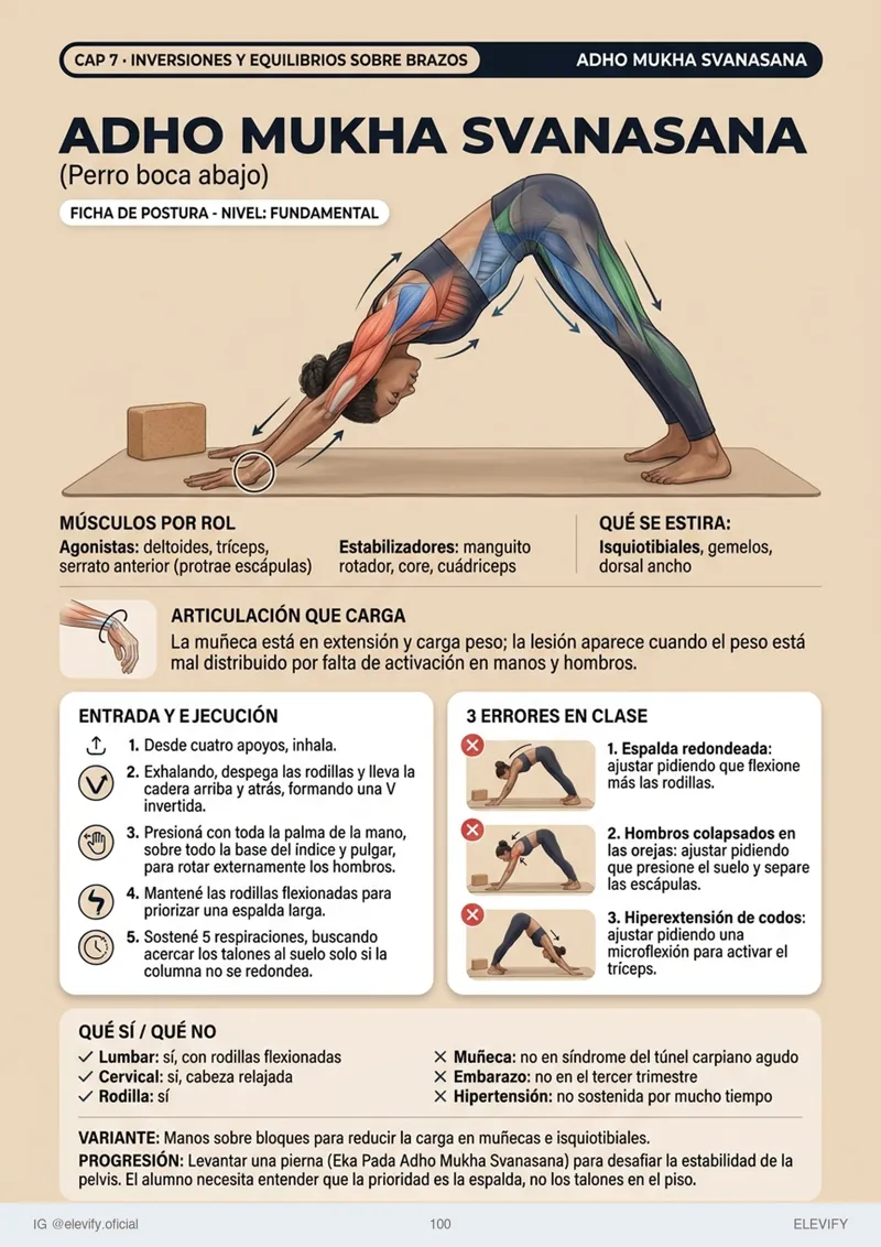 Adho Mukha Svanasana